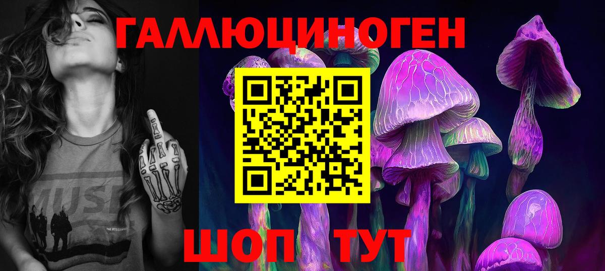Галлюциногенные грибы Psilocybine cubensis  Галлюциногенные грибы Psilocybe  Ачхой-Мартан  Вход с VPN 